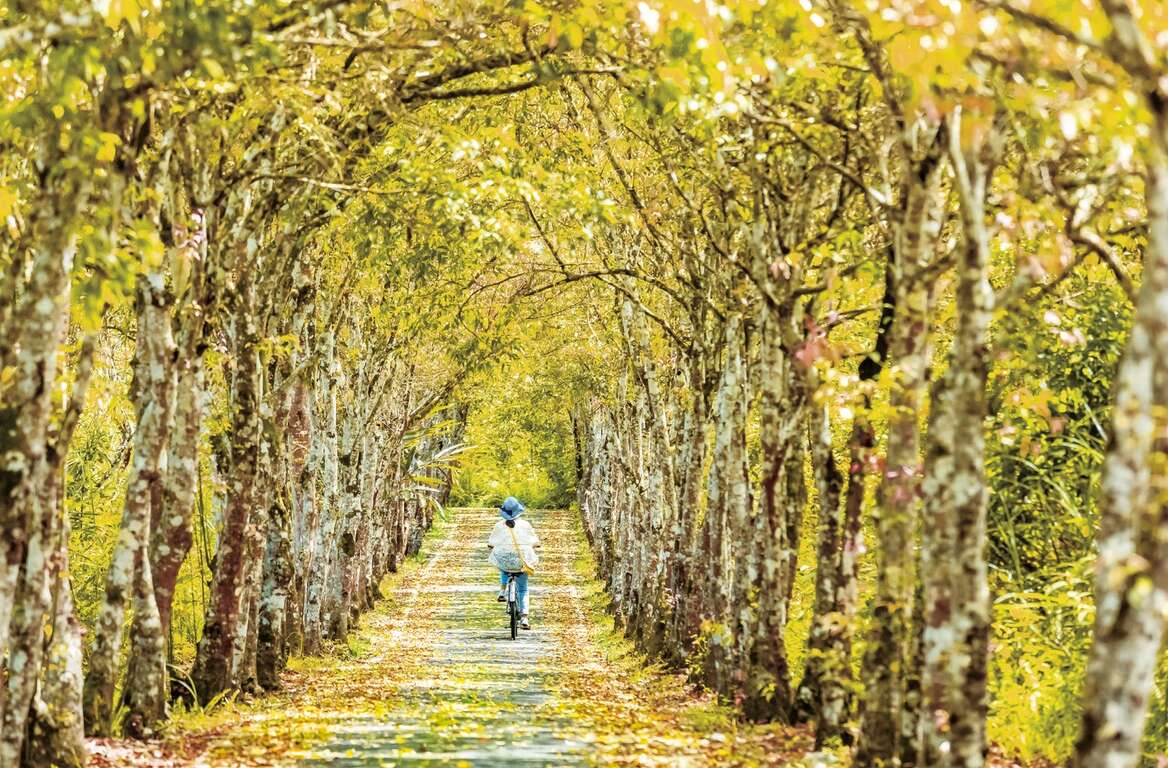花蓮秋冬旅遊正當時