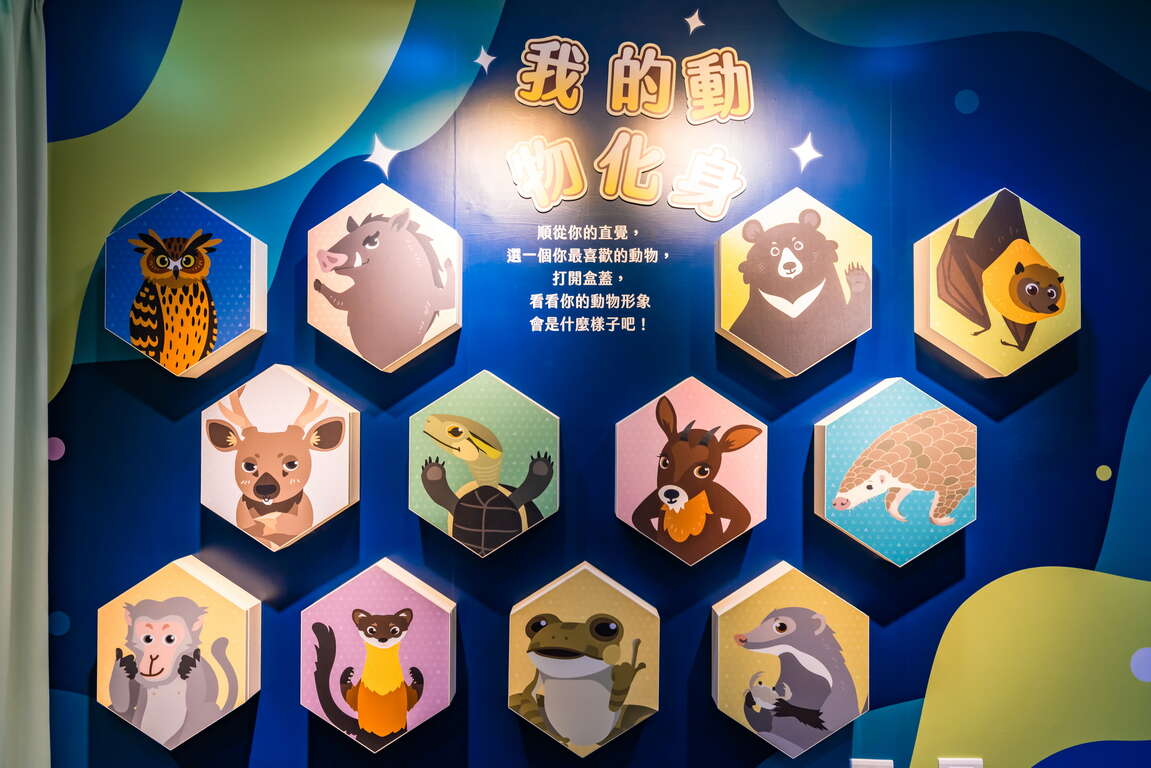 我的動物化身