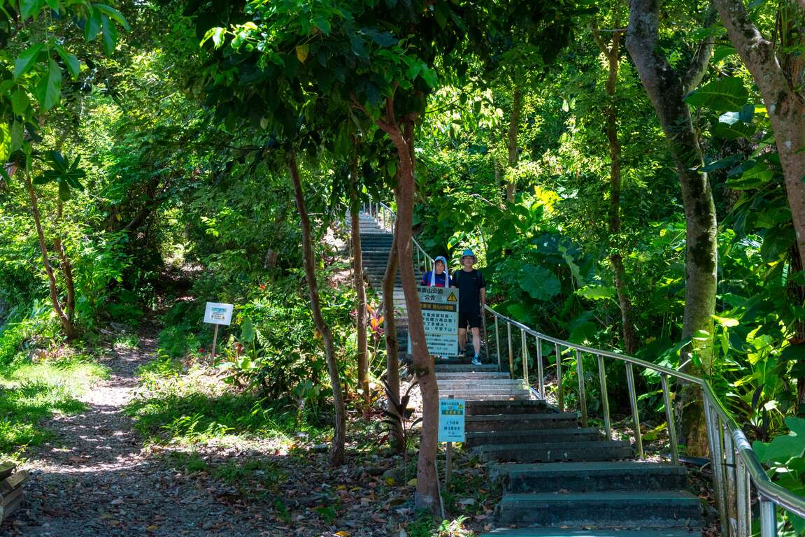 美崙山公園步道樹木茂密